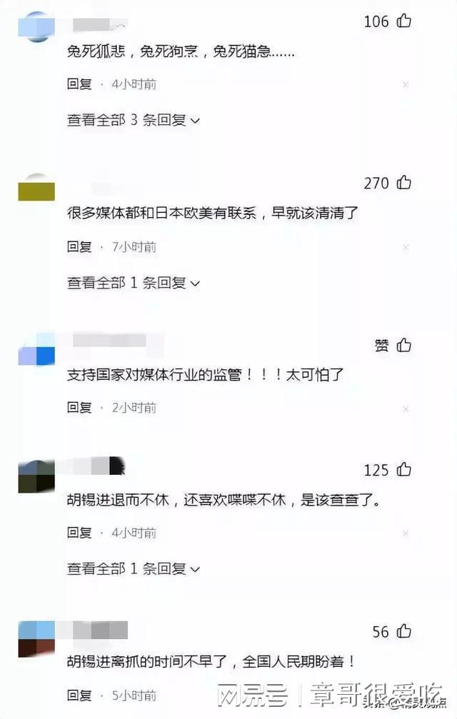 从董事长程峰被查，谈澎湃新闻为何饱受舆论批判？从5件事情可知插图9