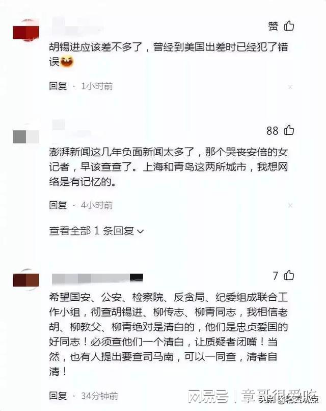 从董事长程峰被查，谈澎湃新闻为何饱受舆论批判？从5件事情可知插图10